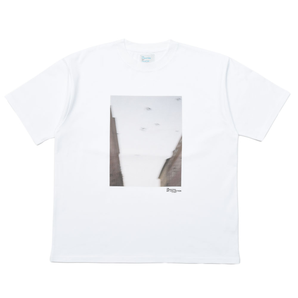 Rakuten - THE INTERNATIONAL ART COLLECTION（ジ インターナショナル アート コレクション）コットンプリントS/Sカットソー SKY002 genderless 12161701182