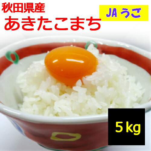 【送料無料】【令和5年産】白米 お取り寄せ≪秋田県産 あきたこまち 5kg≫米 !羽後町 JAうご 指定！地域によっては追加送料がかかります