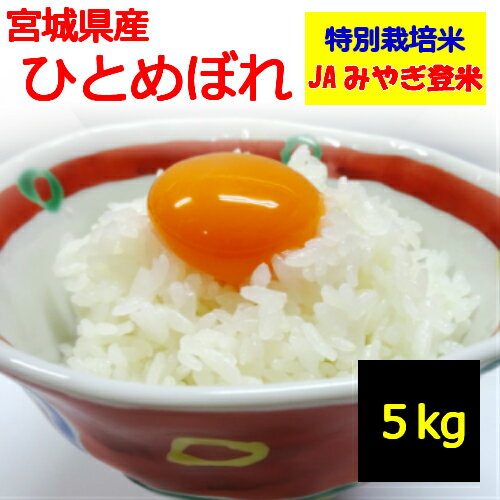 令和5年産宮城県産 ひとめぼれ 5kg登米市 JAみやぎ登米 指定地域によっては追加送料がかかります