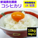 【送料無料】【特別栽培米】【白米】 米 令和4年産!【佐渡産 コシヒカリ 新潟県産 10kg 国産 こしひかり】コシヒカリ…