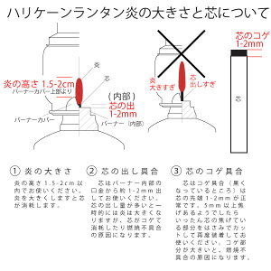 ET4−1mフュアーハンドランタンFeuerHandLantern276【替芯1m付】【送料無料・BOX付】正規輸入・ハリケーンランタンドイツ製シルバーフェアーハンドランタン276BABYSPECIALETERNITY【asu】【RCP】