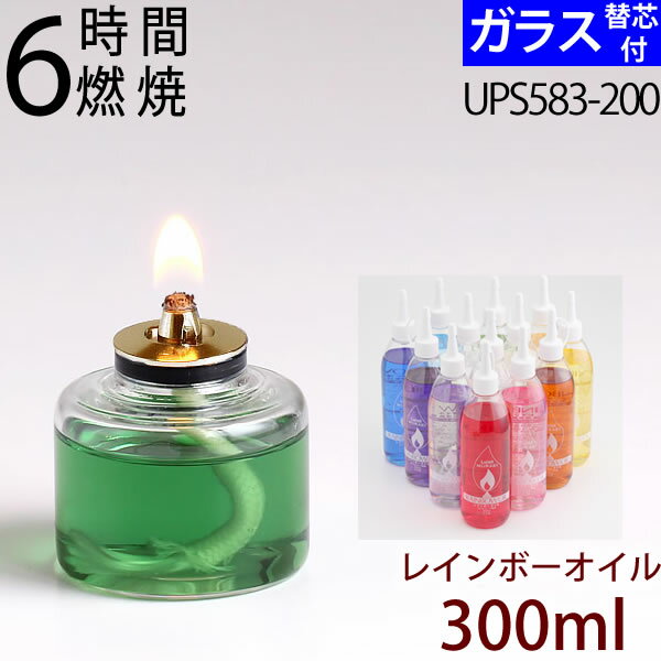 M6 芯 300 オイル 【替芯付】【300mlオ