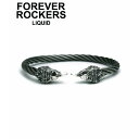 LIQUID リキッド シルバー925 バングル イーグルナローワイヤーバングル LDB-214 ブランド ARGENT GLEAM ArgentGleam ア...