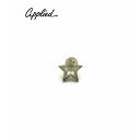 APPLIED アプライド K10ゴールド ピアス 1P 片耳用 TE-182 ブランド ARGENT GLEAM ArgentGleam アージェントグリーム...