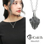 Cold I's フトアゴヒゲトカゲ ヘッド S ペンダントトップ ネックレス シルバー925 シルバーアクセサリー キノボリトカゲ科 アガマ科 トカゲ 爬虫類 は虫類 リアル ドラゴン 動物 リアル メンズ レディース 男性 女性 彼氏 彼女 夫 妻 誕生日 記念日 記念 プレゼント ブランド