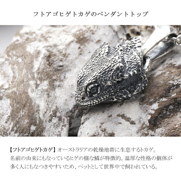 Cold I's フトアゴヒゲトカゲ ヘッド S ペンダントトップ ネックレス シルバー925 シルバーアクセサリー キノボリトカゲ科 アガマ科 トカゲ 爬虫類 は虫類 リアル ドラゴン 動物 リアル メンズ レディース 男性 女性 彼氏 彼女 夫 妻 記念 記念日 誕生日 プレゼントの商品画像 3