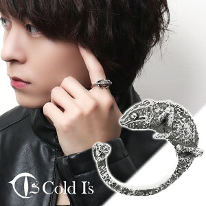 Cold I's パンサーカメレオン 巻きつき リング 10〜25号 シルバー925 指輪 シルバーアクセサリー カメレオン トカゲ 爬虫類 は虫類 リアル メンズ レディース 男性 女性 彼氏 彼女 夫 妻 誕生日 記念日 記念 プレゼント ブランド