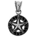 スター ペンダントトップ(チェーンなし) ブラックCZ 星 メダル ジルコニア ネックレス ペンダント シルバー925 銀 シルバーアクセサリー メンズ レディ...