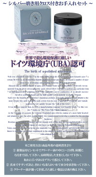 シルバークリーナー 磨き 液 50ml シルバークロス付き お手入れ セット TOWN TALK シルバースパークル シルバー磨き 銀磨き 液体 50ML タウントーク シルバーアクセサリー 洗浄液 銀 クリーナー ジュエリークリーナー 銀製品 プレゼント 人気