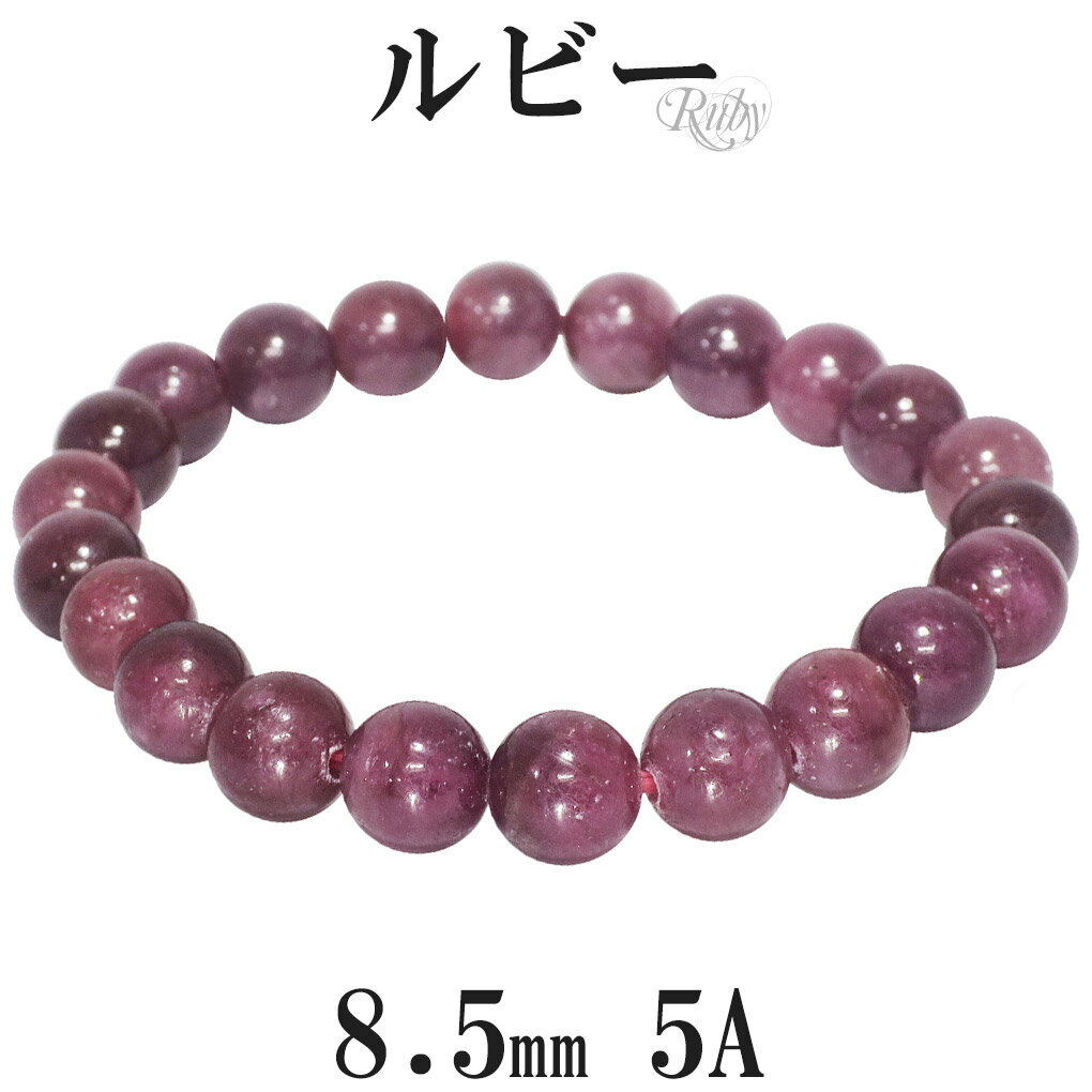 ӡ 5A 졼 ֥쥹å 8.5mm 1618cm SL   7 ŷ ѥȡ   ǥ  å ...