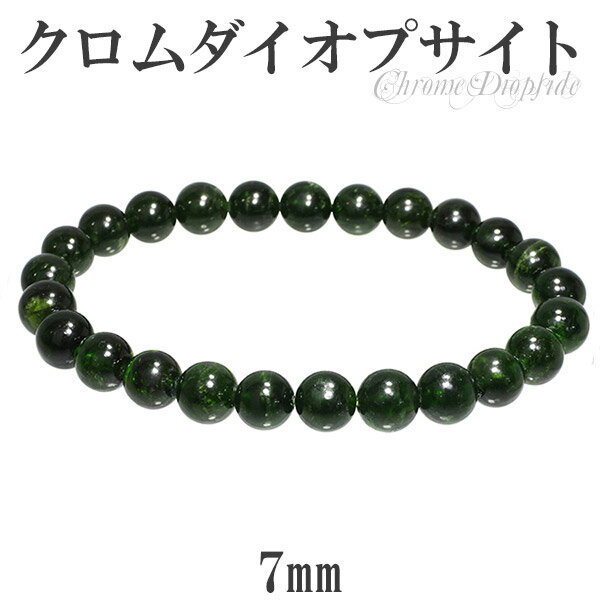 ץ ֥쥹å 7mm 16.5cm ǥS  ŷ ѥȡ ץ ǥ ꡼  ץ...