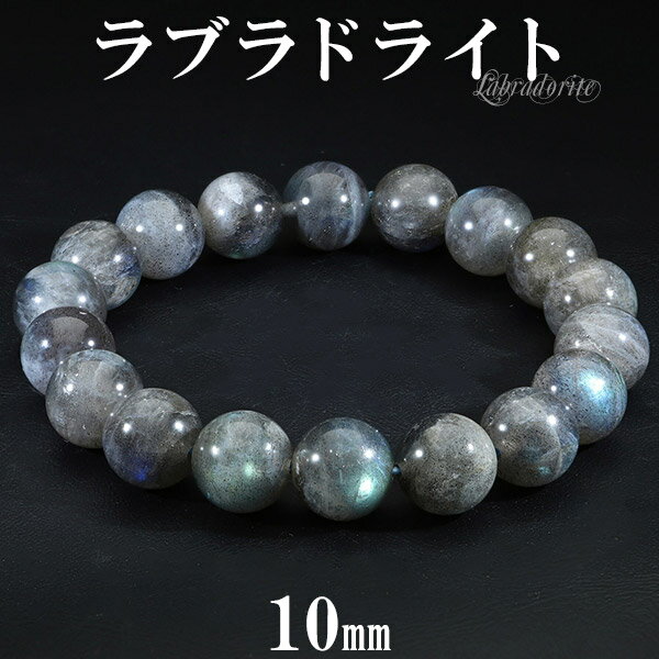 ֥ɥ饤ȥ֥쥹å 10mm 16.517.5cm SL  ŷ ѥȡ ֥롼 ꡼  ǥ   ...