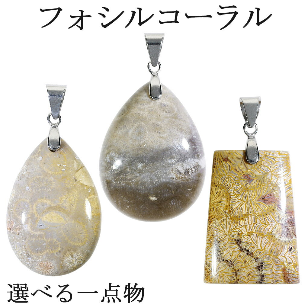 フォシルコーラル シルバー ペンダントトップ 数量限定 選べる 一点物 チェーンなし フォッシルコーラル コーラル 珊瑚 サンゴ ペンダント 化石 さんご 天然...
