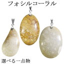 フォシルコーラル シルバー ペンダントトップ 数量限定 選べる 一点物 チェーンなし フォッシルコーラル コーラル 珊瑚 サンゴ ペンダント 化石 さんご 天然...