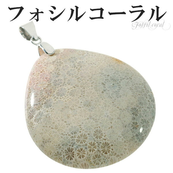 フォシルコーラル シルバー ペンダントトップ 雫 フォッシルコーラル コーラル 珊瑚 サンゴ ペンダント 化石 さんご 天然石 パワーストーン ヘッド トップ ...