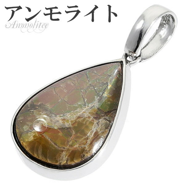 アンモライト シルバー ペンダントトップ ドロップ 雫 天然石 パワーストーン アンモナイト 化石 ペンダント メンズ レディース 男性 女性 ヘッド トップ ...