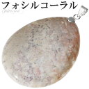 フォシルコーラル シルバー ペンダントトップ トップのみ フォッシルコーラル コーラル 珊瑚 サンゴ ペンダント 化石 さんご 天然石 パワーストーン ヘッド ...