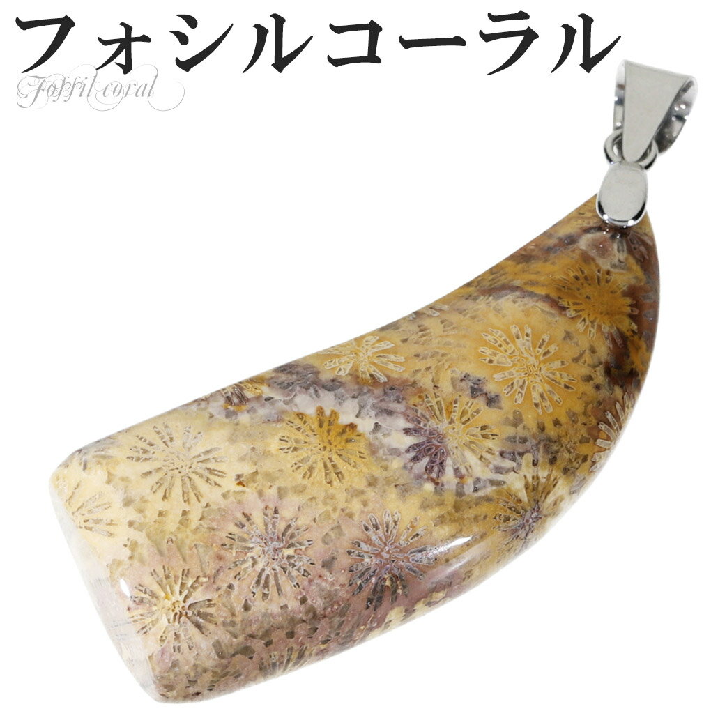 フォシルコーラル シルバー ペンダントトップ トップのみ フォッシルコーラル コーラル 珊瑚 サンゴ ペンダント 化石 さんご 天然石 パワーストーン ヘッド ...