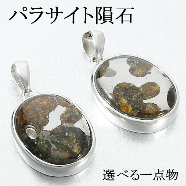 パラサイト 隕石 メテオライト シルバー ペンダントトップ オーバル 選べる 一点物 天然石 パワーストーン ペンダント 宇宙 アクセサリー ヘッド トップ メ...