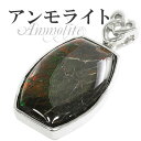 アンモライト シルバーペンダントトップ 天然石 パワーストーン アンモナイト 化石 ペンダント メンズ レディース ヘッド トップ アンモライトペンダント ペン...