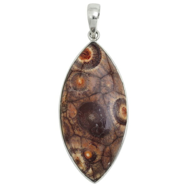 フォシルコーラル シルバーペンダントトップ フォッシルコーラル コーラル 珊瑚 サンゴ ペンダント 化石 さんご 天然石 パワーストーン ヘッド トップ 菊目石...