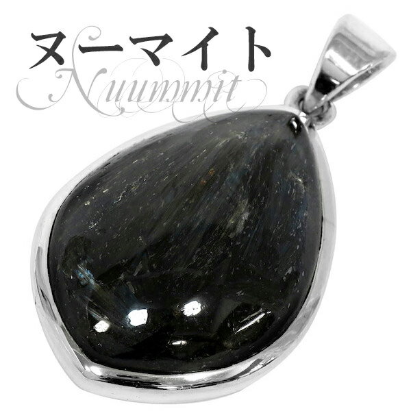 ヌーマイト シルバーペンダントトップ ヘッド トップ 天然石 パワーストーン ヌ-マイト ペンダント ヌーミット メンズ レディース 魔除け 黒 天然石ペンダン...