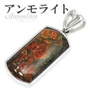 アンモライト シルバー ペンダントトップ スクエア 天然石 パワーストーン アンモナイト 化石 ペンダント メンズ レディース ヘッド トップ アンモライトペン...