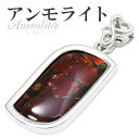 アンモライト シルバー ペンダントトップ 天然石 パワーストーン アンモナイト 化石 ペンダント メンズ レディース ヘッド トップ アンモライトペンダント ペ...