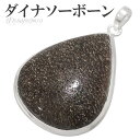 ダイナソーボーン シルバー ペンダントトップ 雫 恐竜 化石 骨 天然石 パワーストーン ペンダント ヘッド トップ メンズ レディース ダイナソーボーンペンダ...