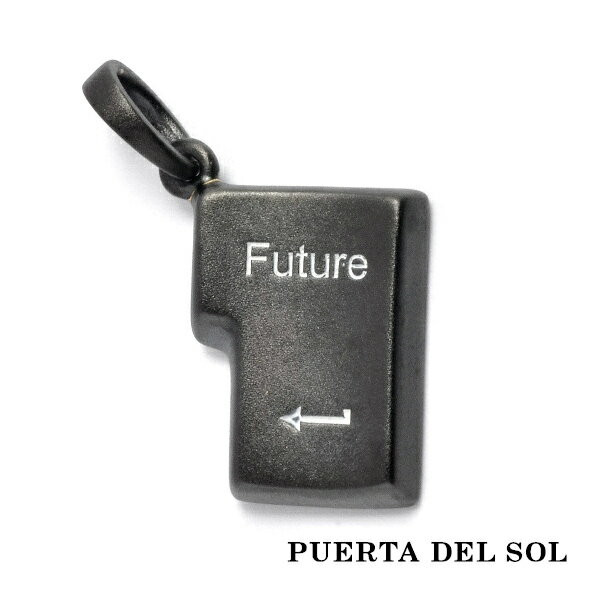 PUERTA DEL SOL For You Enter Future ペンダントトップ(チェーンなし) ブラック シルバー950 チタンコ..