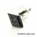 PUERTA DEL SOL クール インプレッション ダイヤ ブラックダイヤモンド ピアス ブラック シルバー950 チタンコーティング ユニセックス シルバ...