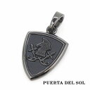 PUERTA DEL SOL ソードナイト エンブレムペンダント(チェーンなし) ブラック シルバー950 チタンコーティング ユニセックス シルバーアクセサリー 銀 SV950 ブリタニアシルバー シルバーペンダント ペンダントヘッド ネックレストップ ペンダントトップのみ 人気 ブランド(4)