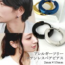 刻印無料 カラー ステンレス フープ ペアピアス 13mm (片耳用) ペアアクセサリー ペア フープピアス リングピアス ピアス サージカルステンレス シルバ...
