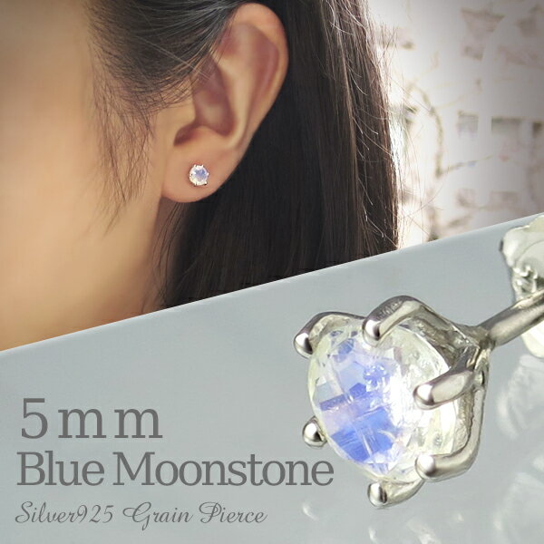 5mm 天然 ブルームーンストーン 一粒ピアス 1P 片耳用 シルバー925 プラチナコーティング レディース 女性 6月 誕生石 天然石 ムーンストーン 青 ブルー シラー ひと粒 スタッドピアス ピアス 誕生日 記念日 プレゼント 人気 シンプル 定番 かわいい おしゃれのサムネイル