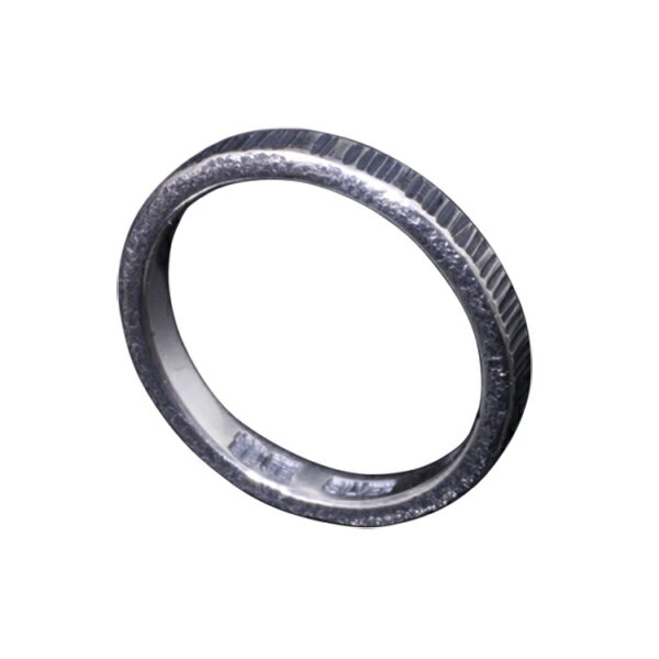 龍頭 いぶし ゴザ目鎚目 リング 幅3mm 4〜27号 指輪 メンズ シルバー シルバーリング メンズリング シルバー950 男性 彼氏 伝統技法 ギフト 人気 おしゃれ ブランド