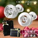 ピアス メンズ 片耳 セカンドピアス メンズ アクセサリー ダンシングストーン メンズピアス 1P 片耳用 男性 女性 シルバーピアス ジルコニア ブランド 人...