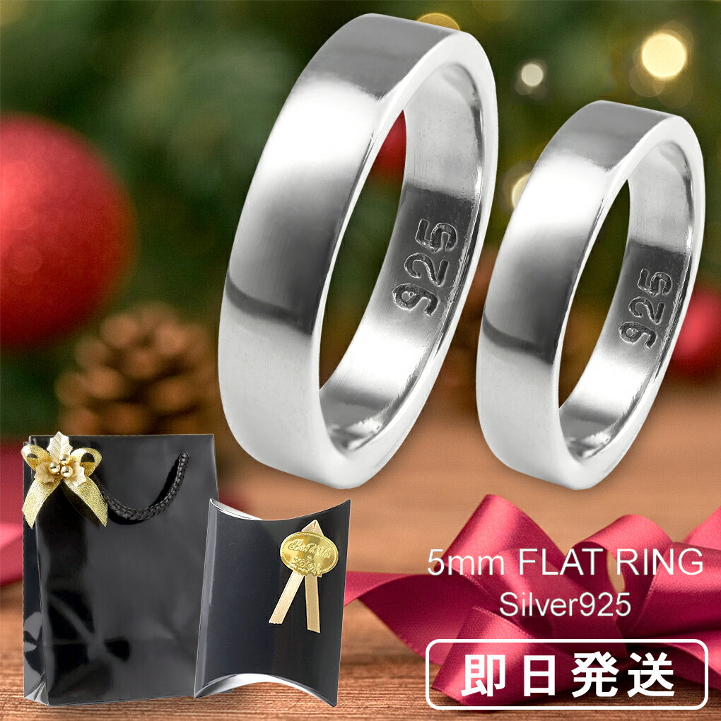 ڥ ץ  С 925  5mm å  729 ڥ  ڥ꡼ · ץ졼 ʿǤ ̾ ...