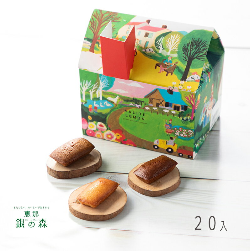 銀の森 レモンさんのおうち ミニ 焼き菓子 プチフィナンシェ20入x1箱 / チョコ チョコレート 御礼 お配り ギフト お返し お菓子 洋菓子 スイーツ ありがとう お取り寄せ プレゼント 誕生日 スイーツ