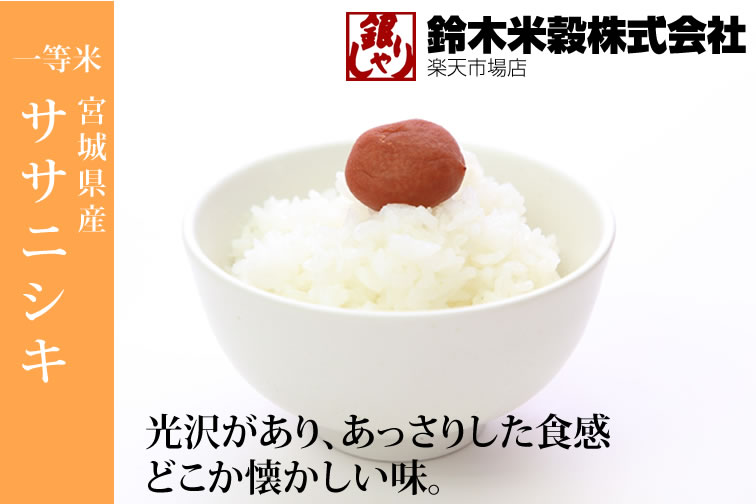 令和7年産 送料無料 無洗米 【セール価格17,880円】 宮城県産 ササニシキ 20kg 精米 乾式無洗米 選べる精米方法