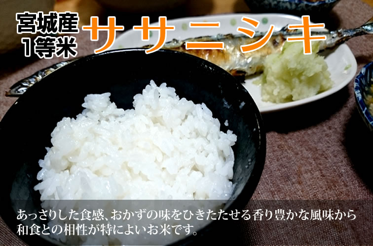 ����7ǯ�� ����̵�� ̵���� �ڥ��������17,880�ߡ� �ܾ븩�� �����˥��� 20kg ���� ����̵���� ���٤�������ˡ