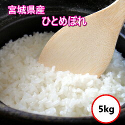 令和7年産 送料無料 無