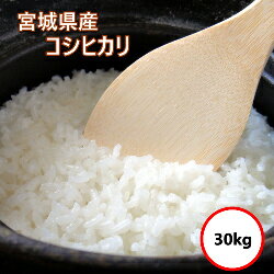 令和7年産 送料無料 無洗米 【特売価格17,900円】 宮城県産 コシヒカリ 30kg(5Kgx6...