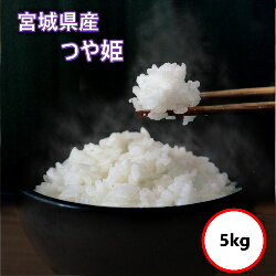 令和7年産 送料無料 無洗米  宮城県産 つや姫 5kg(5Kgx1) 乾式無洗米