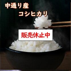 令和5年産 送料無料 無洗米 【セール価格14,080円】 福島中通り産コシヒカリ 30kg 精米 乾式無洗米 選べる精米方法のサムネイル