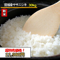 新米　送料無料　無洗米　【超特売価格11,980円】　宮城県産 ササニシキ　30kg　令和5年産　精米　乾式無洗米　選べる精米方法のサムネイル
