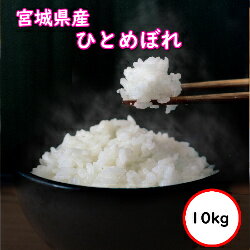 宮城産 ひとめぼれ 令和5年産 送料無料 無洗米 【特売価格5,180円】 宮城県産 ひとめぼれ 10kg(5Kgx2)　乾式無洗米 精米 選べる精米方法