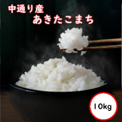 https://thumbnail.image.rakuten.co.jp/@0_mall/ginshari/cabinet/r_5sn/new_pg/nc10.jpg