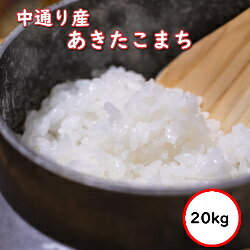 令和5年産 送料無料 無洗米 【特売価格8,480円】 福島中通り産あきたこまち 20kg 選べる精米方法