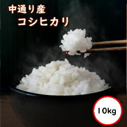 令和5年産 送料無料 無洗米 【特売価格4,930円】 福島中通り産コシヒカリ 10kg (5Kgx2) 精米 乾式無洗米 選べる精米…