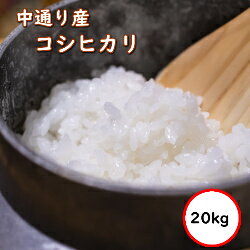 令和5年産 送料無料 無洗米 【特売価格8,580円】 福島中通り産コシヒカリ 20kg 精米 乾式無洗米 選べる精米方法